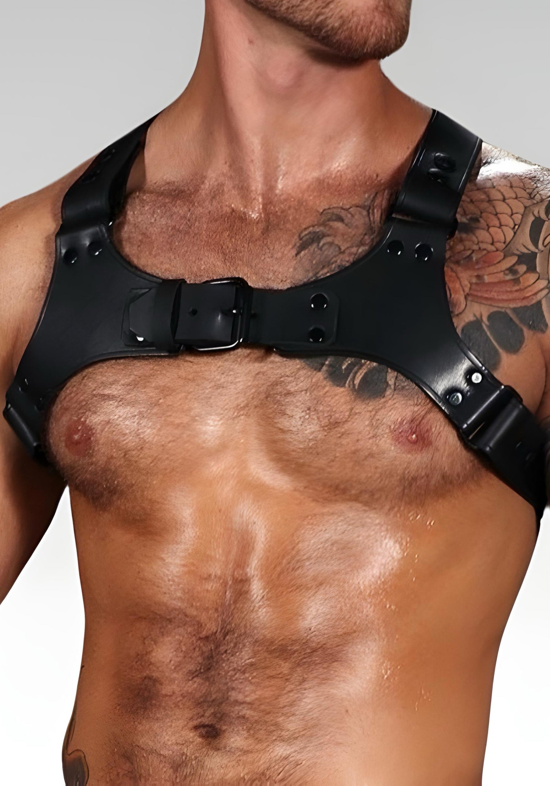 gay leather gear Centurion Leather Harness