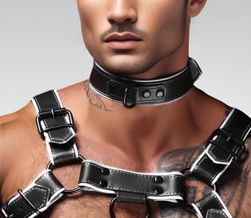 Hardline Leather Collar for sale