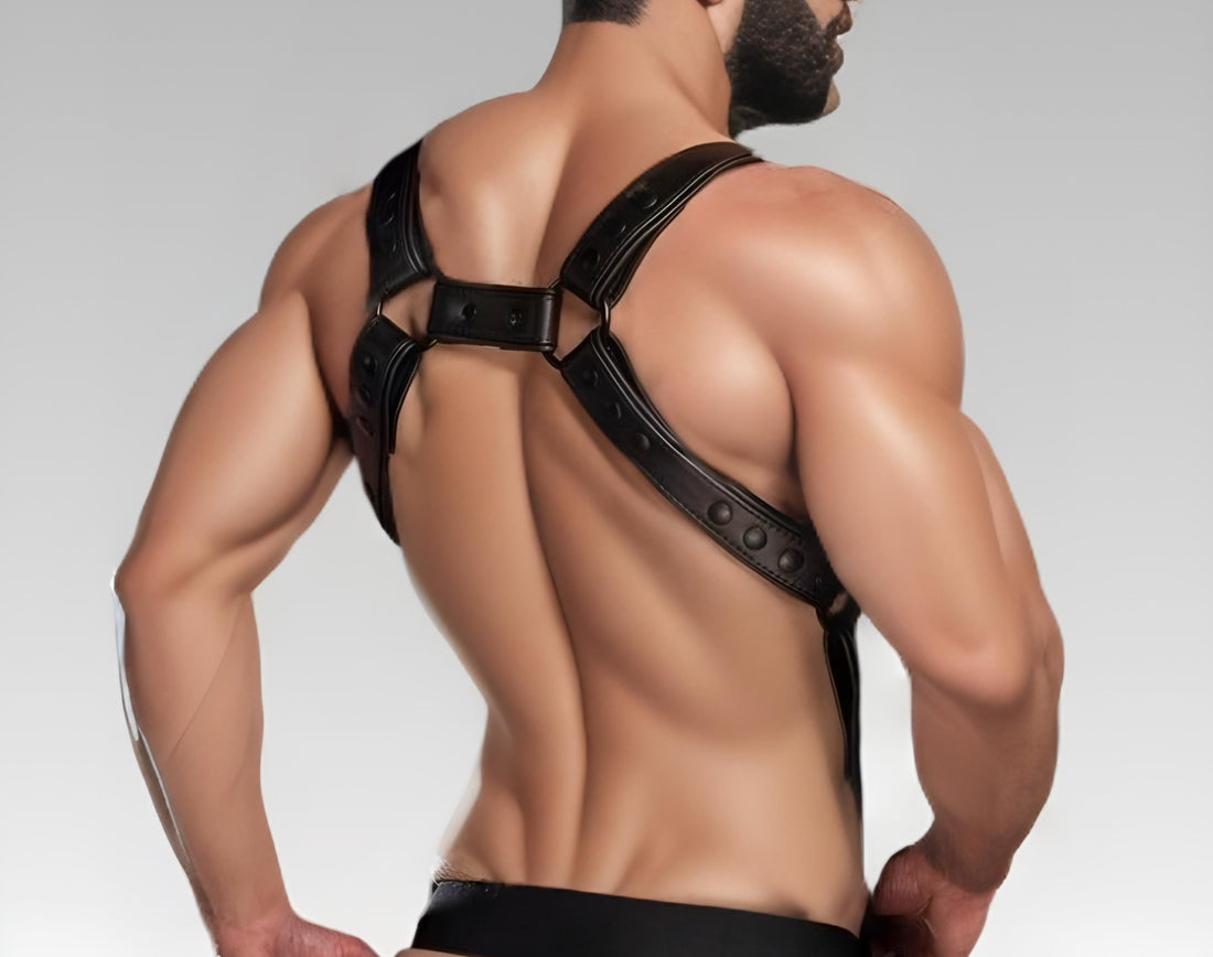 Hunter Harness Black Hardline for sale