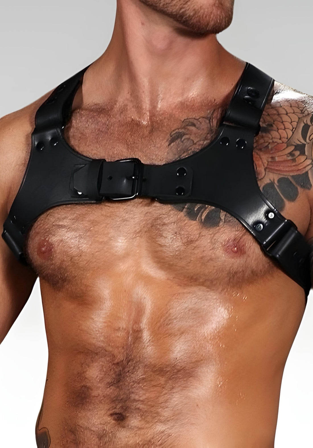 Leather Chest Harness Centurion, leather harness, leather dog harness, leather harness men, leather chest harness for sale