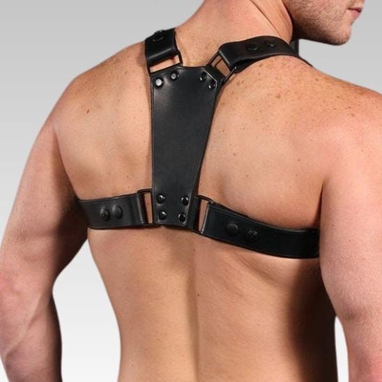 Leather Chest Harness Centurion, leather harness, leather dog harness, leather harness men, leather chest harness for sale