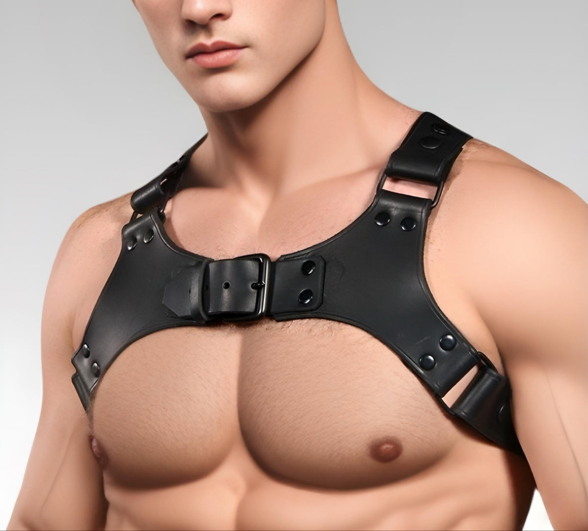 Centurion Leather Harness for sale