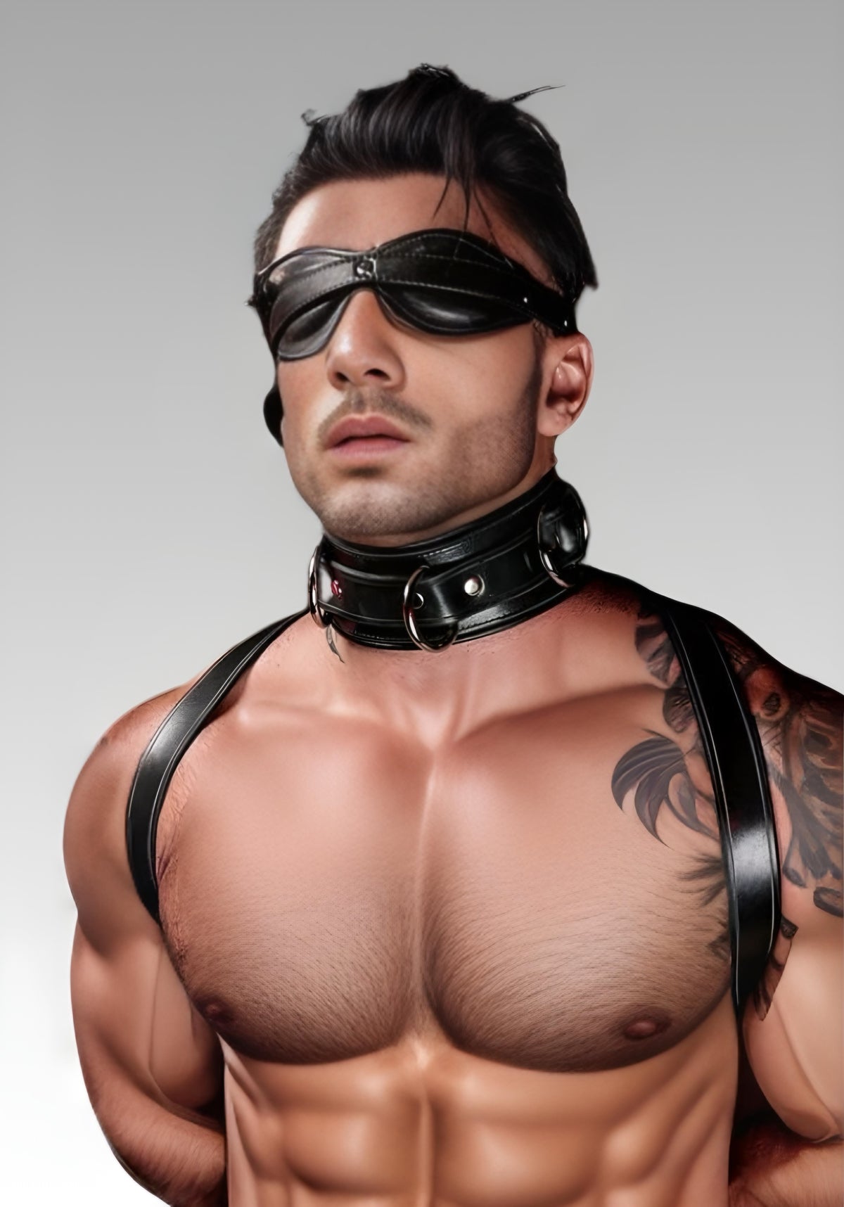 Upper-body view of a black leather shoulder harness, collar and connecting straps