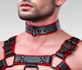 Leather Hardline Collar for sale