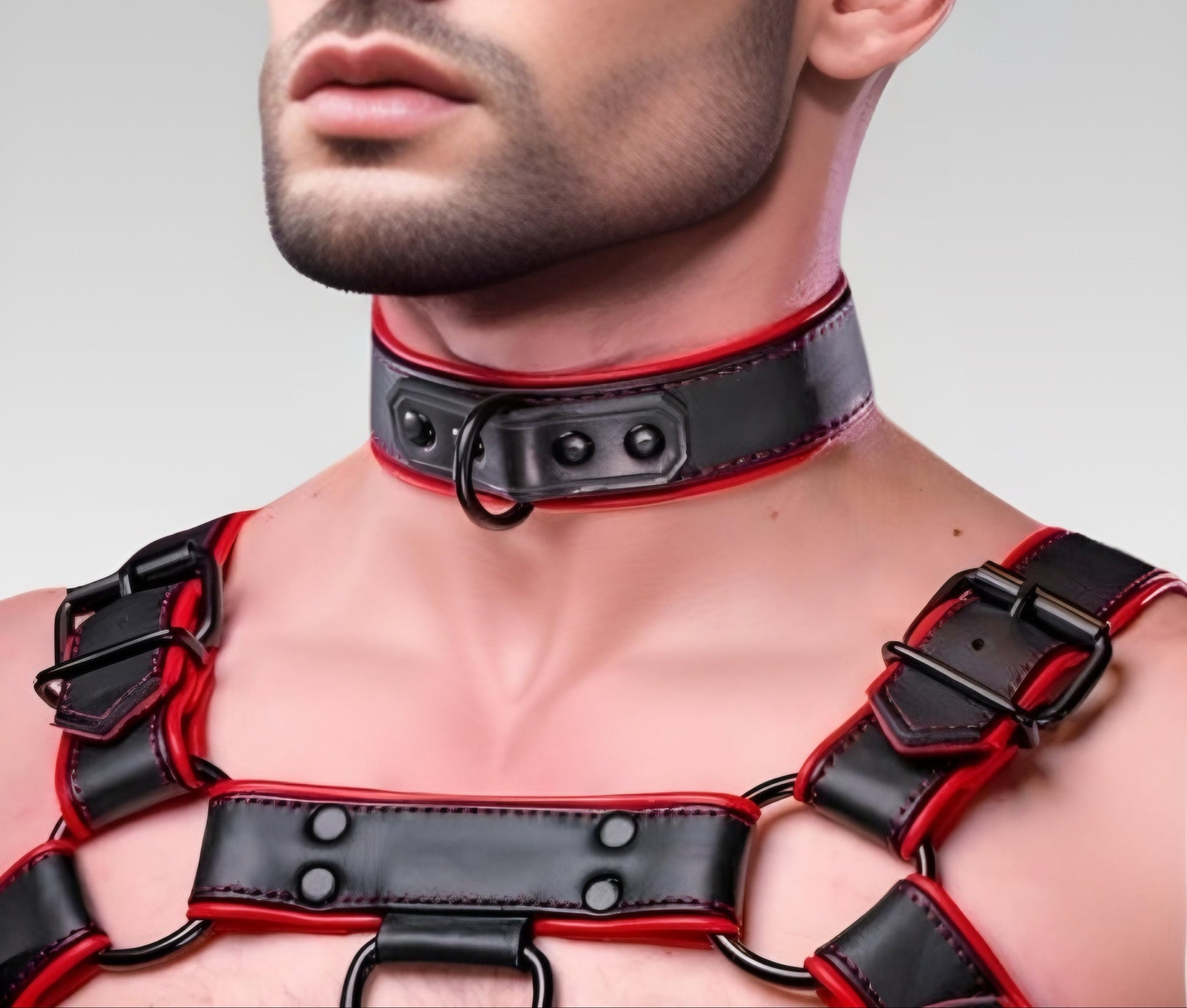 Leather Hardline Collar for sale