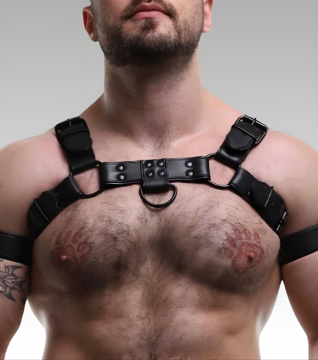 Leather Chest Bulldog Harness Black Piping for sale