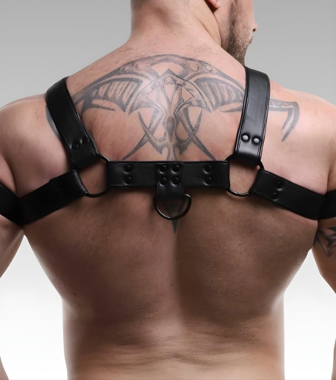 Leather Chest Bulldog Harness Black Piping for sale