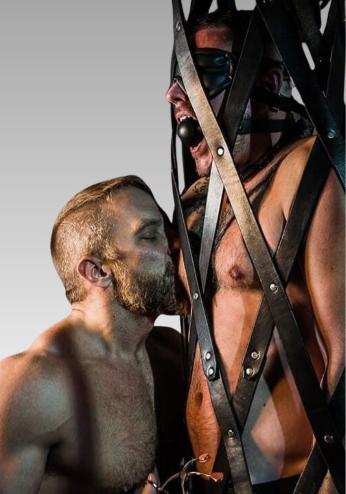 Hanging Strap Leather Cage, hanging cage, leather hanging straps, bdsm cage, hanging cage torture, strict leather for sale