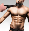 Leather Quick-Pull Choke Collar for sale
