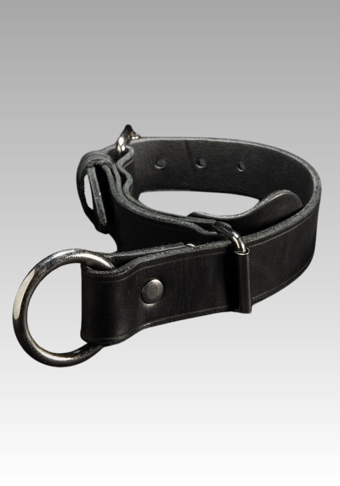 Leather Quick-Pull Choke Collar for sale