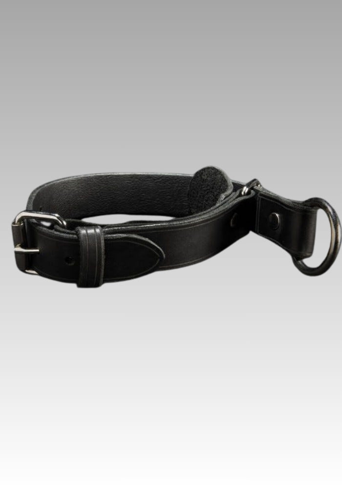 Leather Quick-Pull Choke Collar for sale