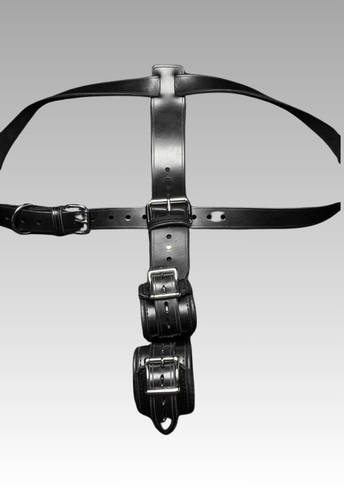Shoulder to Wrist Restraints for sale