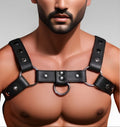 Silver Snap Bulldog Harness for sale