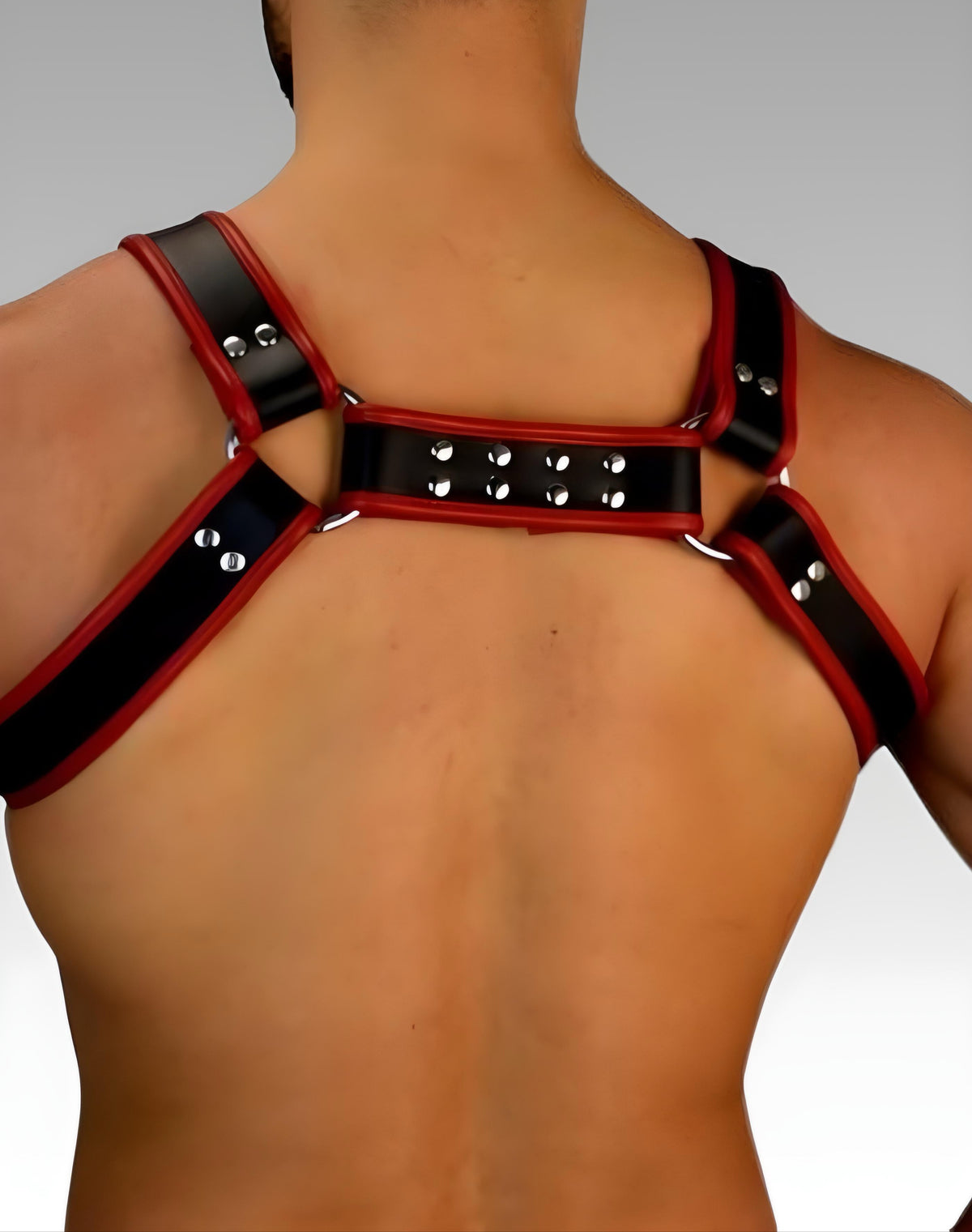 Thick Leather Bulldog Harness - Red Trim for sale
