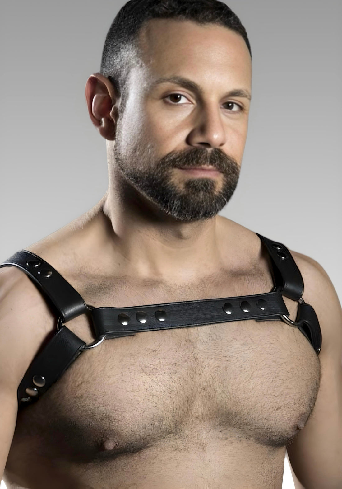 Crossbow Chest Harness for sale