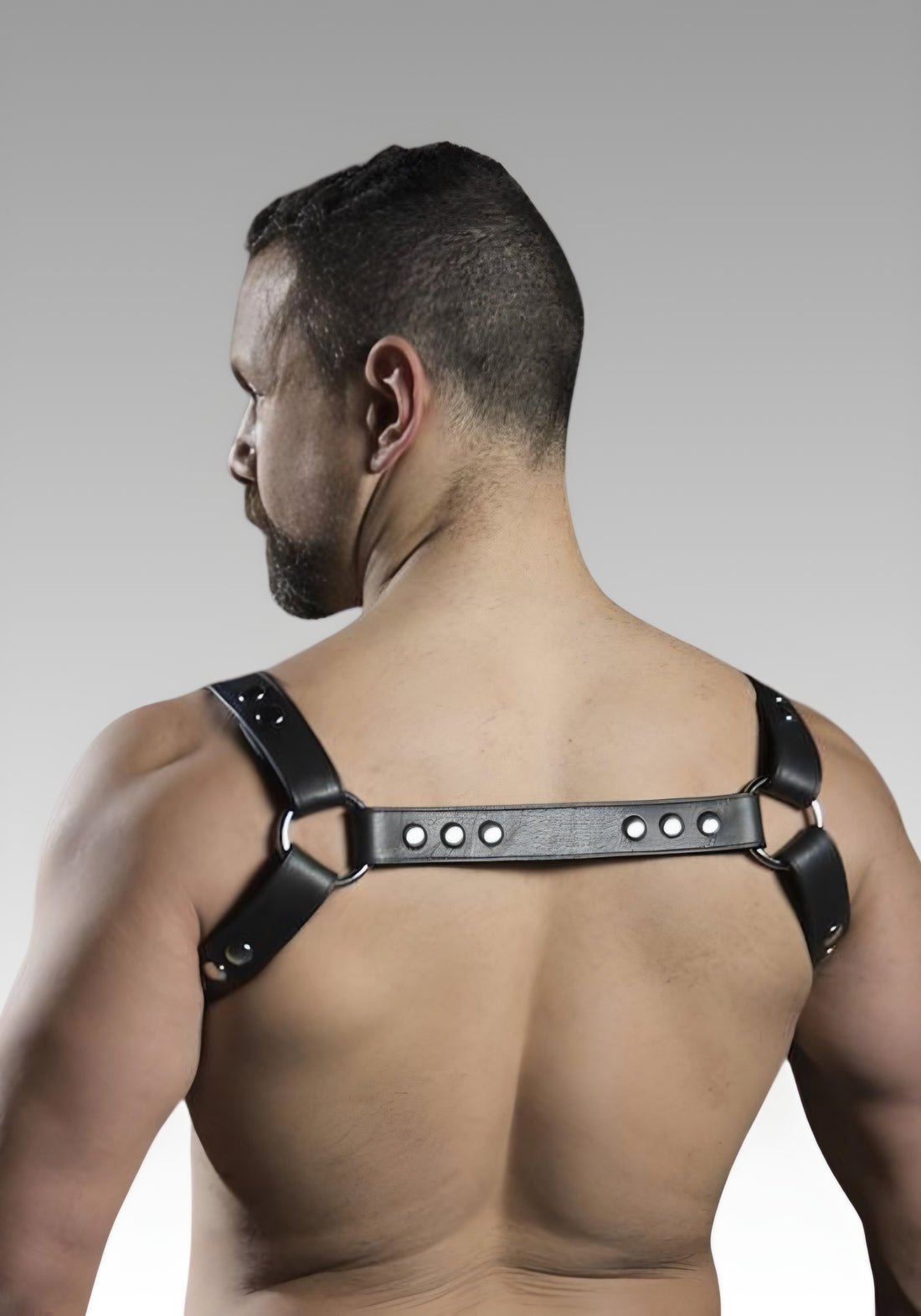 Crossbow Chest Harness for sale