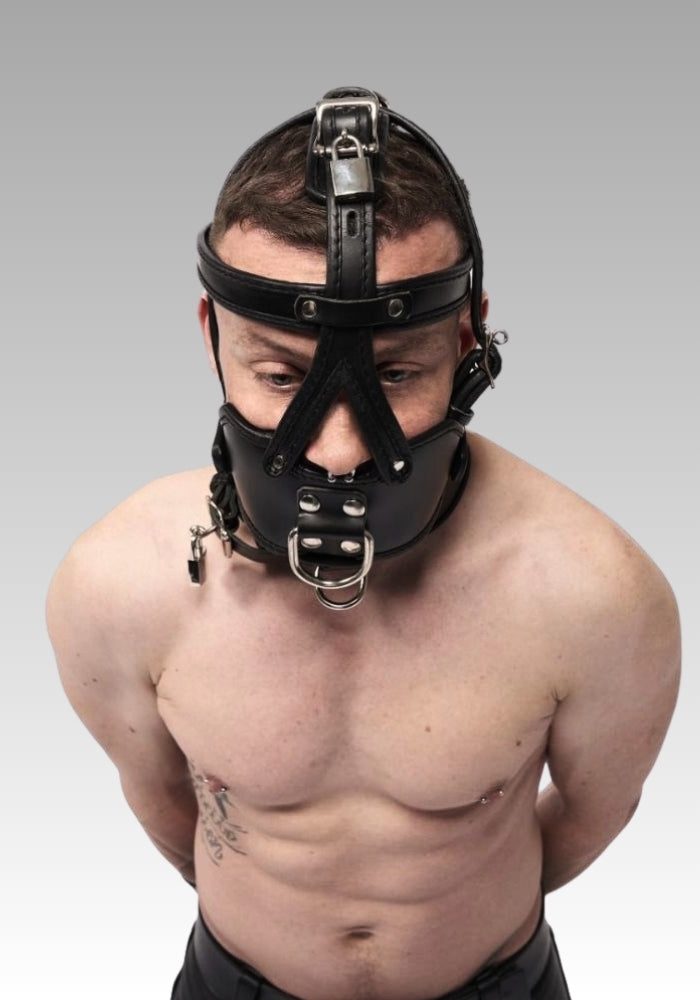Front view of a black leather muzzle head harness with forehead and chin buckle straps