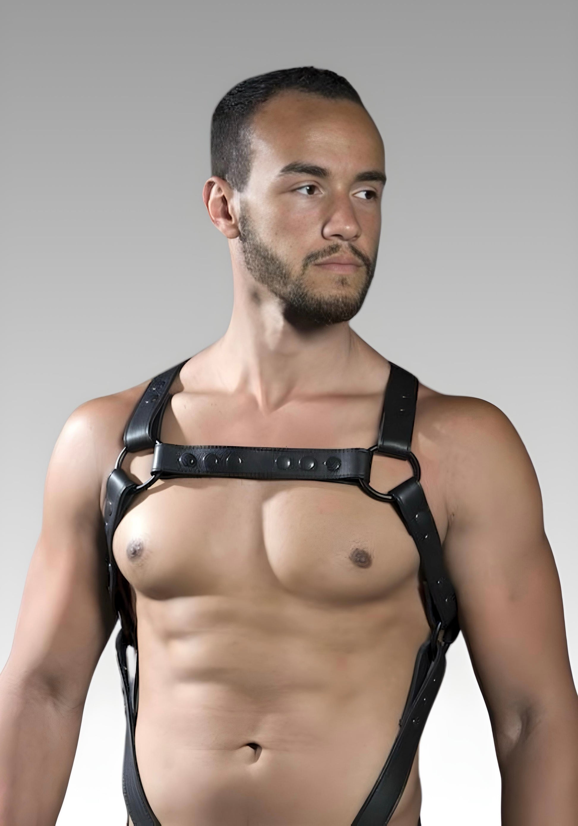 Full Body Holster Leather Harness for sale