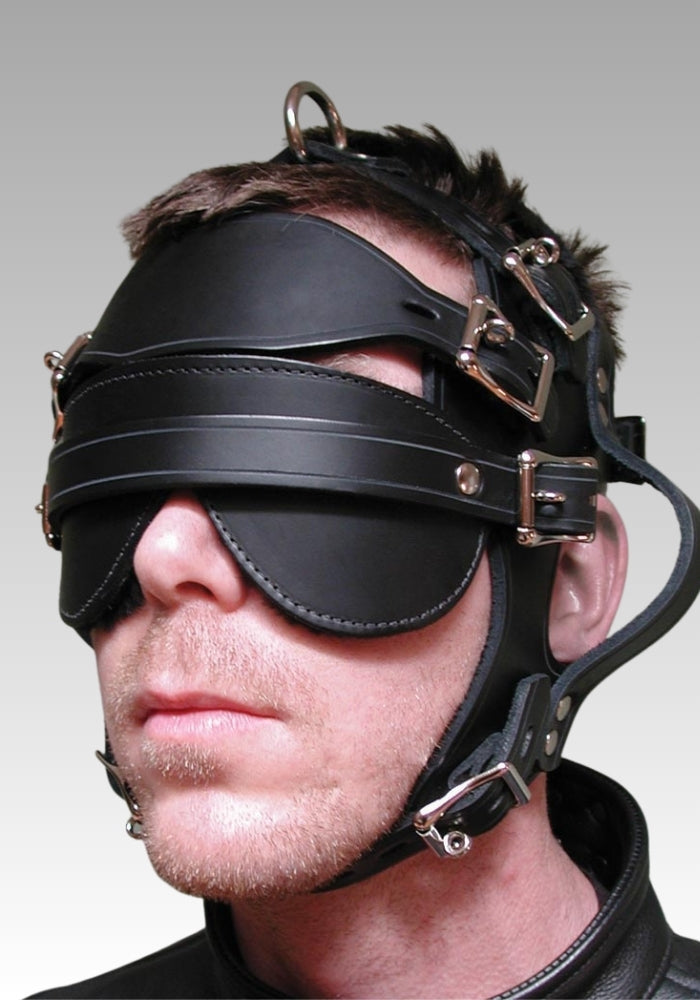 Head Handler Leather Harness for sale