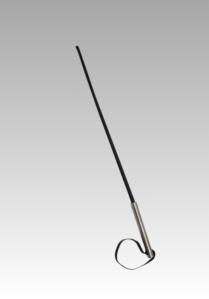 Impact BDSM Cane of sale