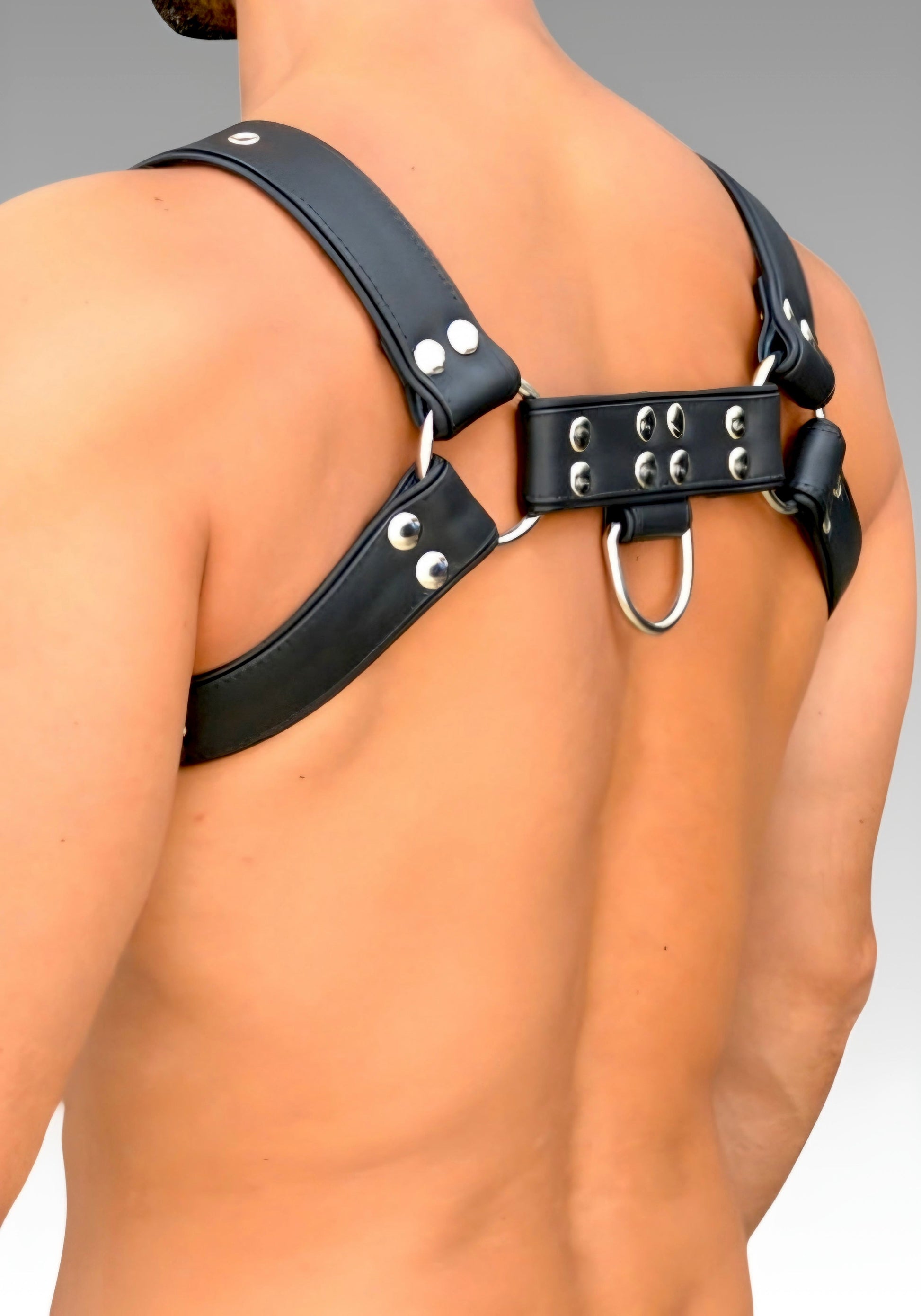 Leather Chest Bulldog Harness Black Piping for sale