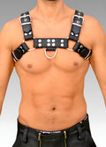 Leather Chest Bulldog Harness Black Piping for sale