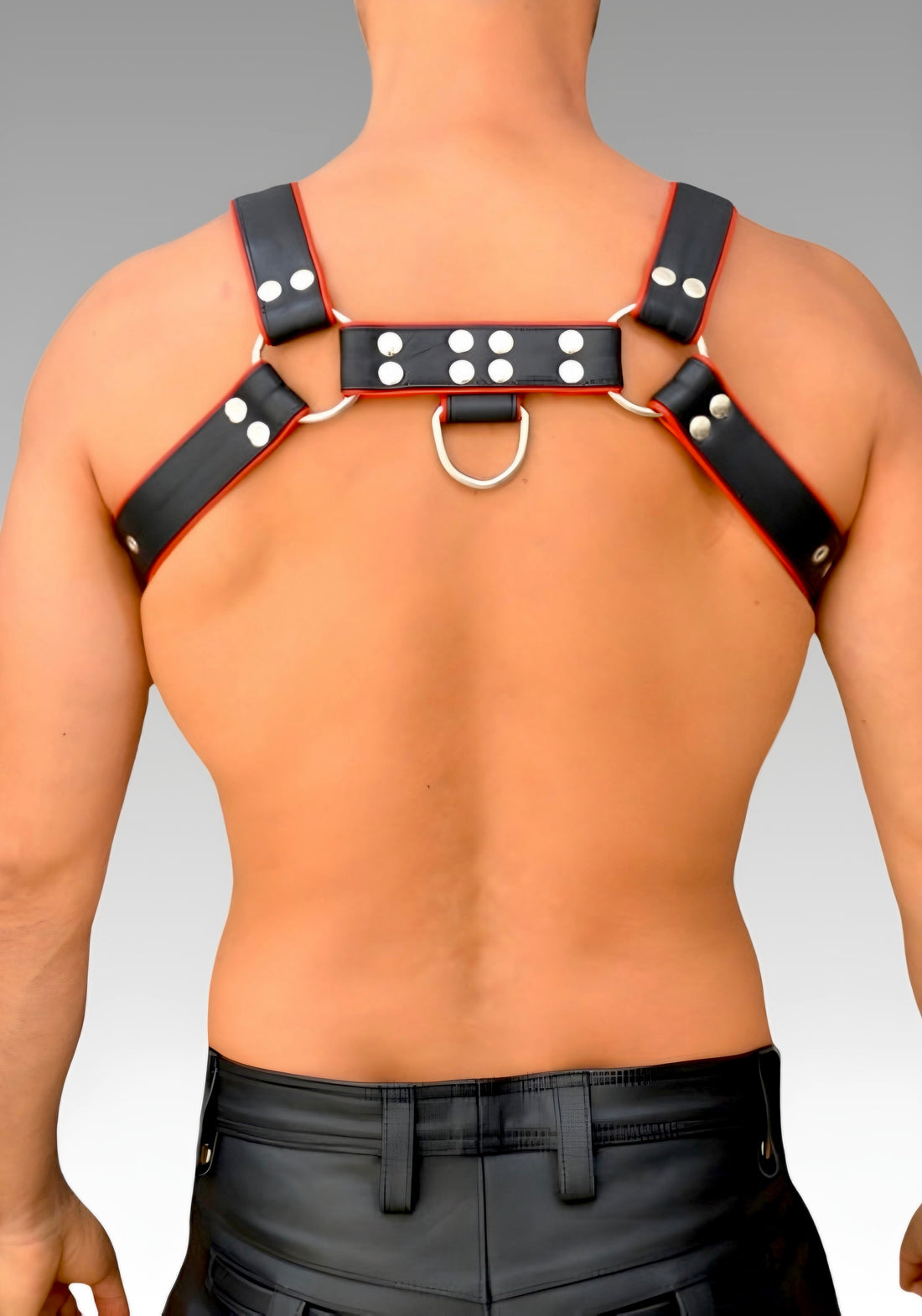 Leather Chest Bulldog Harness Red Piping for sale