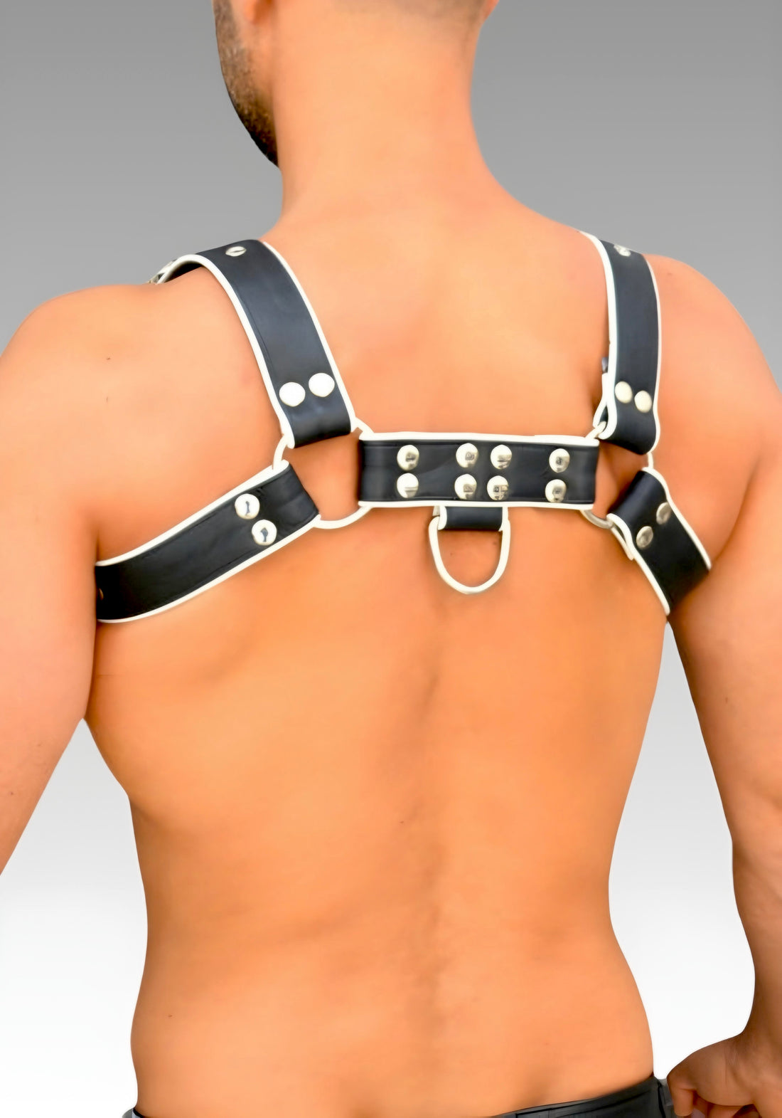 Leather Chest Bulldog Harness White Piping for sale