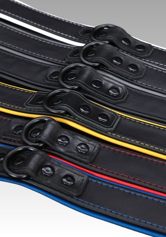 Close view of leather collar straps with contrasting coloured edges and black D-rings