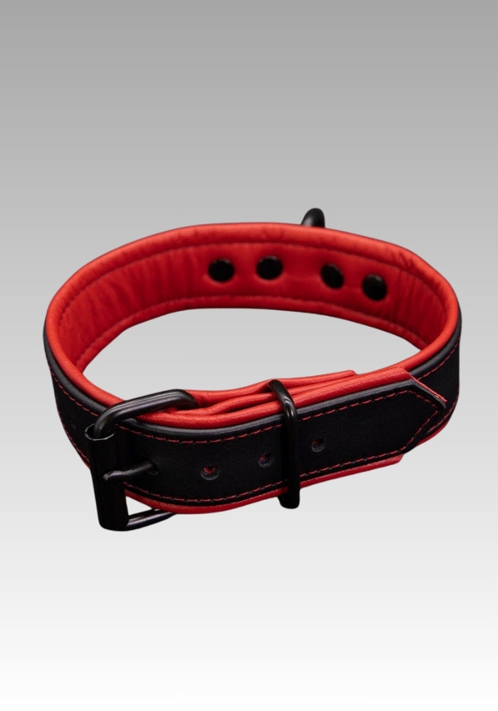 Black leather collar with red padded lining and adjustment holes