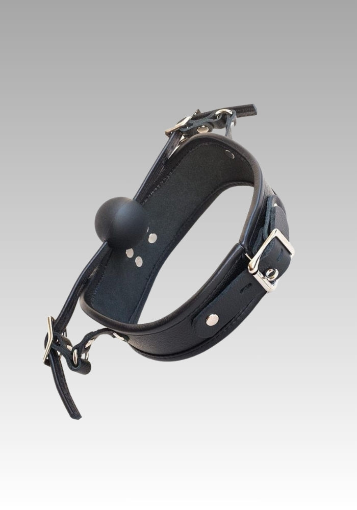 Posture Collar With Silicone Ball Gag for sale