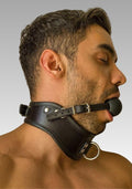 Posture Collar With Silicone Ball Gag for sale