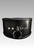 Simple Leather Posture Collar for sale