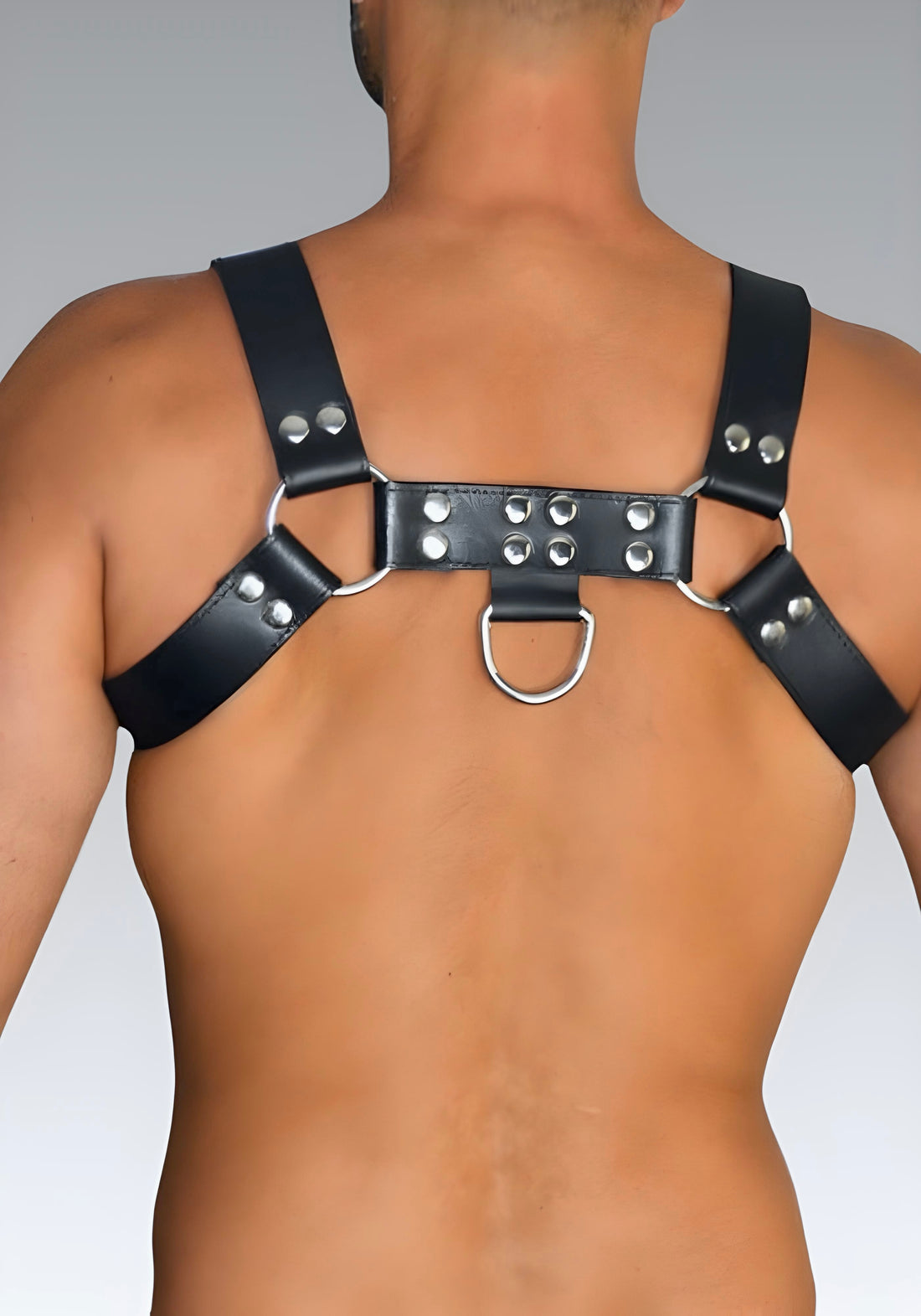 Leather Bulldog Harness Silver for sale